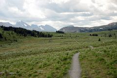 04 Fatigue Mountain, Golden Mountain and Citadel Peak From Sunshine Meadows On Hike To Mount Assiniboine.jpg